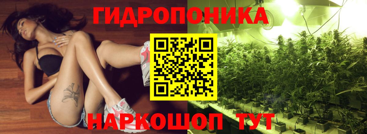 Шишки марихуана марихуана  Вход с VPN  Каннабис LSD WEED  Шарыпово 